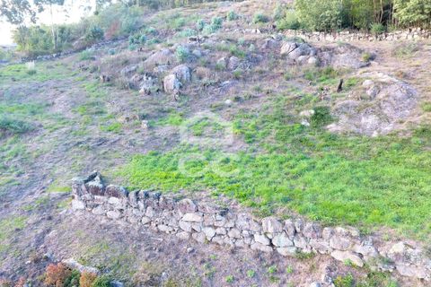 Helårsgrund i Paredes, Porto, Paredes - € 150.000 | Ref: 365/T/03234 - foto 15