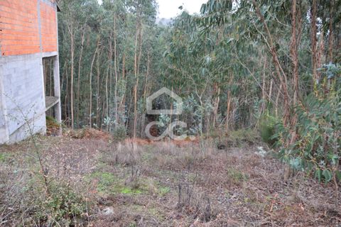 Helårsgrund i Penafiel, Porto, Penafiel - € 45.000 | Ref: 365/T/03236 - foto 2