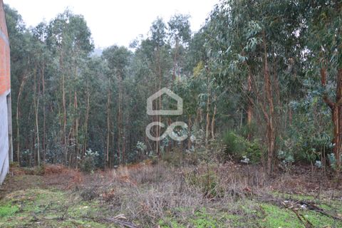 Helårsgrund i Penafiel, Porto, Penafiel - € 45.000 | Ref: 365/T/03236 - foto 3
