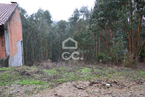 Helårsgrund i Penafiel, Porto, Penafiel - € 45.000 | Ref: 365/T/03236 - foto 5