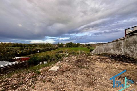 Villa a Asseiceira, Santarem, Asseiceira - € 365.000 | Ref: TL093 - foto 25