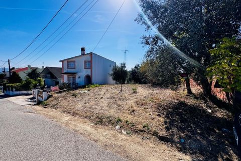 Helårsgrund i Tomar, Santarem, Tomar - € 32.500 | Ref: TL083 - foto 2