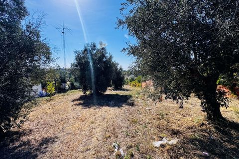 Helårsgrund i Tomar, Santarem, Tomar - € 32.500 | Ref: TL083 - foto 4
