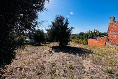 Helårsgrund i Tomar, Santarem, Tomar - € 32.500 | Ref: TL083 - foto 5