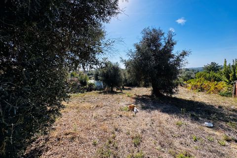Helårsgrund i Tomar, Santarem, Tomar - € 32.500 | Ref: TL083 - foto 6