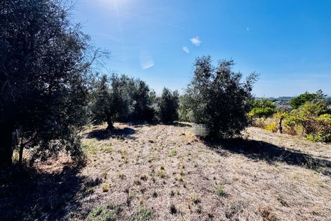 Helårsgrund i Tomar, Santarem, Tomar - € 32.500 | Ref: TL083 - foto 7