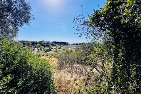 Helårsgrund i Tomar, Santarem, Tomar - € 32.500 | Ref: TL083 - foto 8