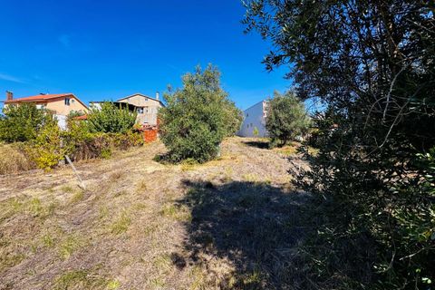Helårsgrund i Tomar, Santarem, Tomar - € 32.500 | Ref: TL083 - foto 9