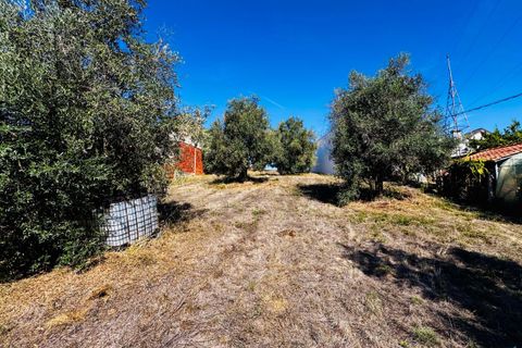 Helårsgrund i Tomar, Santarem, Tomar - € 32.500 | Ref: TL083 - foto 11
