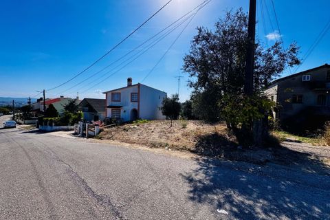 Helårsgrund i Tomar, Santarem, Tomar - € 32.500 | Ref: TL083 - foto 12