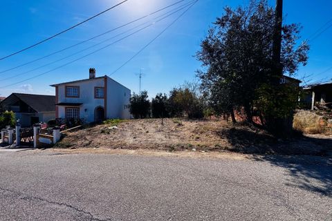 Helårsgrund i Tomar, Santarem, Tomar - € 32.500 | Ref: TL083 - foto 16