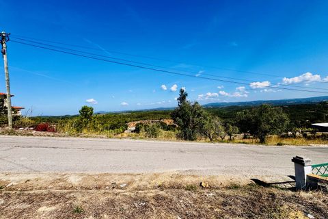 Helårsgrund i Tomar, Santarem, Tomar - € 32.500 | Ref: TL083 - foto 17