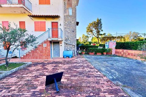 Villa a Belvedere Marittimo, Cosenza, Belvedere Marittimo - € 130.000 | Ref: 1400 - foto 4