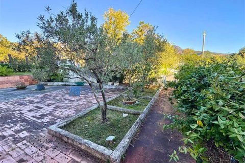 Villa a Belvedere Marittimo, Cosenza, Belvedere Marittimo - € 130.000 | Ref: 1400 - foto 6