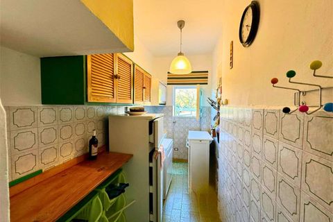 Villa a Belvedere Marittimo, Cosenza, Belvedere Marittimo - € 130.000 | Ref: 1400 - foto 13