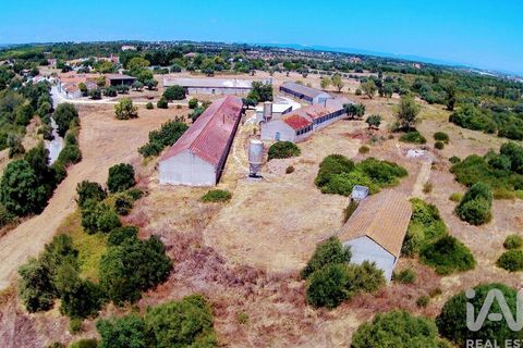 Byhus i Santarem, Santarem, Santarem - € 350.000 | Ref: 124262 - foto 1