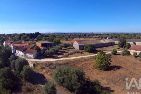 Byhus i Santarem, Santarem, Santarem - € 350.000 | Ref: 124262 - foto 6