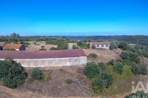Byhus i Santarem, Santarem, Santarem - € 350.000 | Ref: 124262 - foto 7