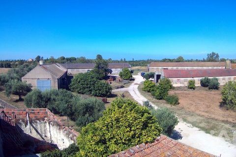 Byhus i Santarem, Santarem, Santarem - € 350.000 | Ref: 124262 - foto 9