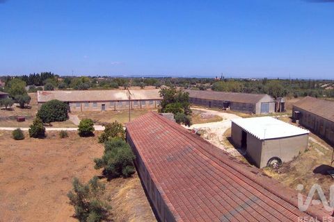Byhus i Santarem, Santarem, Santarem - € 350.000 | Ref: 124262 - foto 12