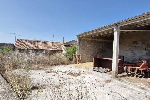 Byhus i Santarem, Santarem, Santarem - € 350.000 | Ref: 124262 - foto 23