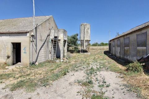 Byhus i Santarem, Santarem, Santarem - € 350.000 | Ref: 124262 - foto 25