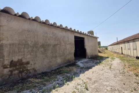 Byhus i Santarem, Santarem, Santarem - € 350.000 | Ref: 124262 - foto 26