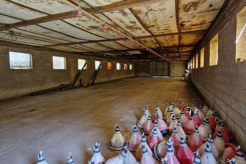 Byhus i Santarem, Santarem, Santarem - € 350.000 | Ref: 124262 - foto 27