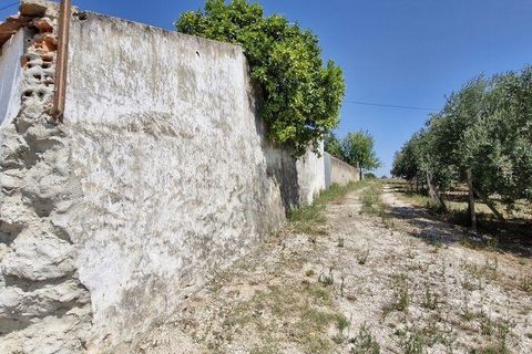 Byhus i Santarem, Santarem, Santarem - € 350.000 | Ref: 124262 - foto 30
