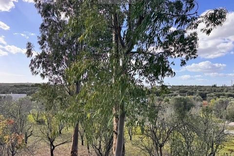 Helårsgrund i Ostuni, Brindisi, Ostuni - € 54.900 | Ref: land ter1 - foto 8
