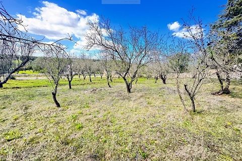 Helårsgrund i Ostuni, Brindisi, Ostuni - € 54.900 | Ref: land ter1 - foto 3