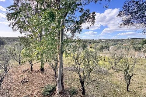 Helårsgrund i Ostuni, Brindisi, Ostuni - € 54.900 | Ref: land ter1 - foto 2