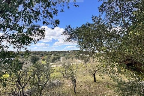 Helårsgrund i Ostuni, Brindisi, Ostuni - € 54.900 | Ref: land ter1 - foto 4