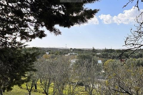Helårsgrund i Ostuni, Brindisi, Ostuni - € 54.900 | Ref: land ter1 - foto 9