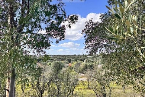 Helårsgrund i Ostuni, Brindisi, Ostuni - € 54.900 | Ref: land ter1 - foto 7