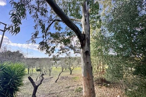 Helårsgrund i Ostuni, Brindisi, Ostuni - € 54.900 | Ref: land ter1 - foto 5