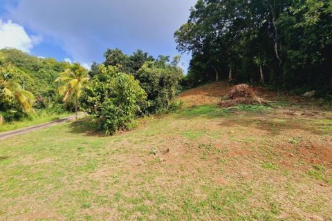 Terra a Le Frasnois, Martinique, Le Frasnois - € 230.880 | Ref: 3011434158 - foto 6