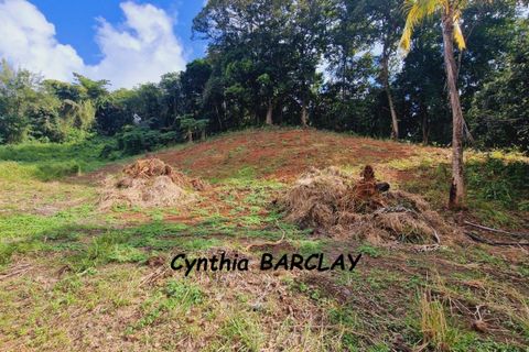 Terra a Le Frasnois, Martinique, Le Frasnois - € 230.880 | Ref: 3011434158 - foto 7