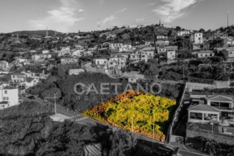 Villa i Ribeira Brava, Madeira, Ribeira Brava - € 1.750.000 | Ref: 1213 - foto 7