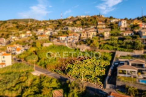 Villa i Ribeira Brava, Madeira, Ribeira Brava - € 1.750.000 | Ref: 1213 - foto 8