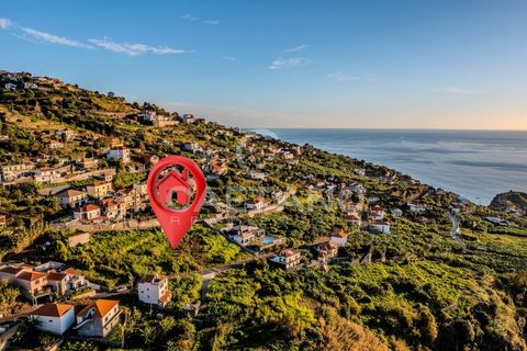 Villa i Ribeira Brava, Madeira, Ribeira Brava - € 1.750.000 | Ref: 1213 - foto 12