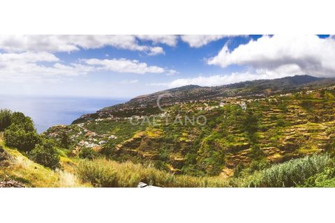 Villa a Calheta, Madeira, Calheta - € 6.890.000 | Ref: 1246 - foto 19