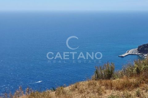 Villa i Ribeira Brava, Madeira, Ribeira Brava - € 2.777.000 | Ref: 1192 - foto 9