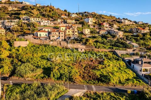 Villa i Ribeira Brava, Madeira, Ribeira Brava - € 1.650.000 | Ref: 1215 - foto 7