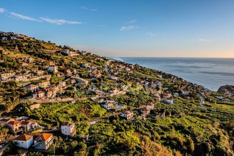 Villa i Ribeira Brava, Madeira, Ribeira Brava - € 1.650.000 | Ref: 1215 - foto 9