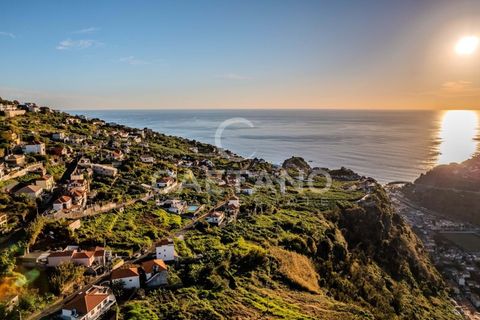 Villa i Ribeira Brava, Madeira, Ribeira Brava - € 1.650.000 | Ref: 1215 - foto 10