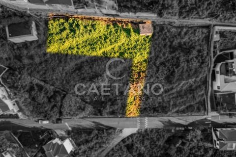 Villa a Ribeira Brava, Madeira, Ribeira Brava - € 1.650.000 | Ref: 1214 - foto 5