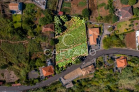Villa a Chaves, Vila Real, Chaves - € 1.950.000 | Ref: 1505 - foto 17