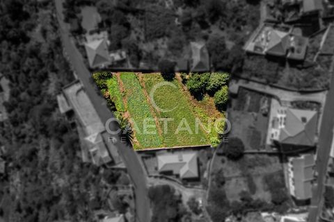 Villa a Chaves, Vila Real, Chaves - € 1.950.000 | Ref: 1505 - foto 19