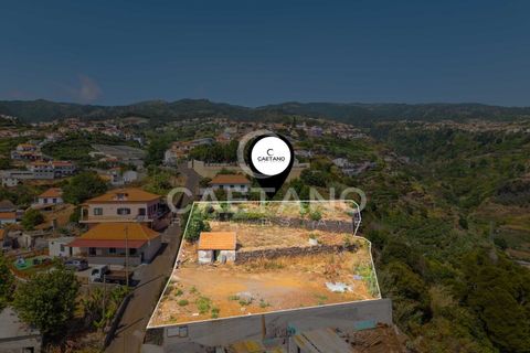 Villa in Calheta, Madeira, Calheta - € 1.995.000 | Ref: 1573 - foto 31